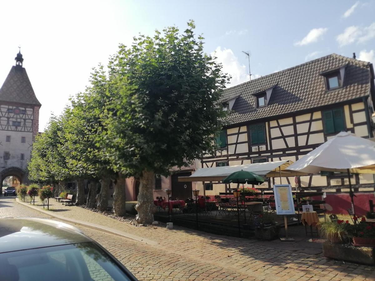 Gites Aux Fines Bulles D'Alsace Spa Privatif En Supplement Bergheim Exterior foto
